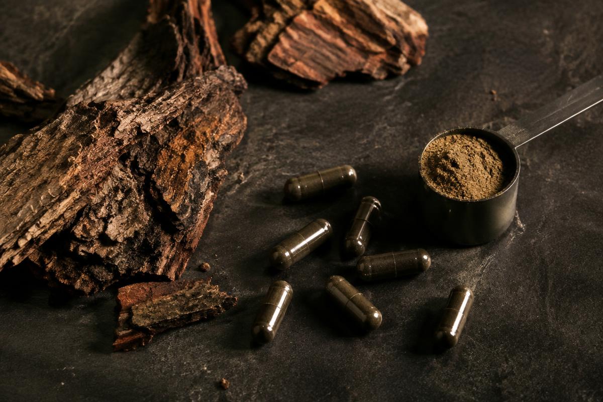 Tree bark pieces, dark capsules and a measuring scoop of botanical powder on a slate surface