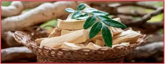 Tongkat Ali ingredient used in Testo BoostX