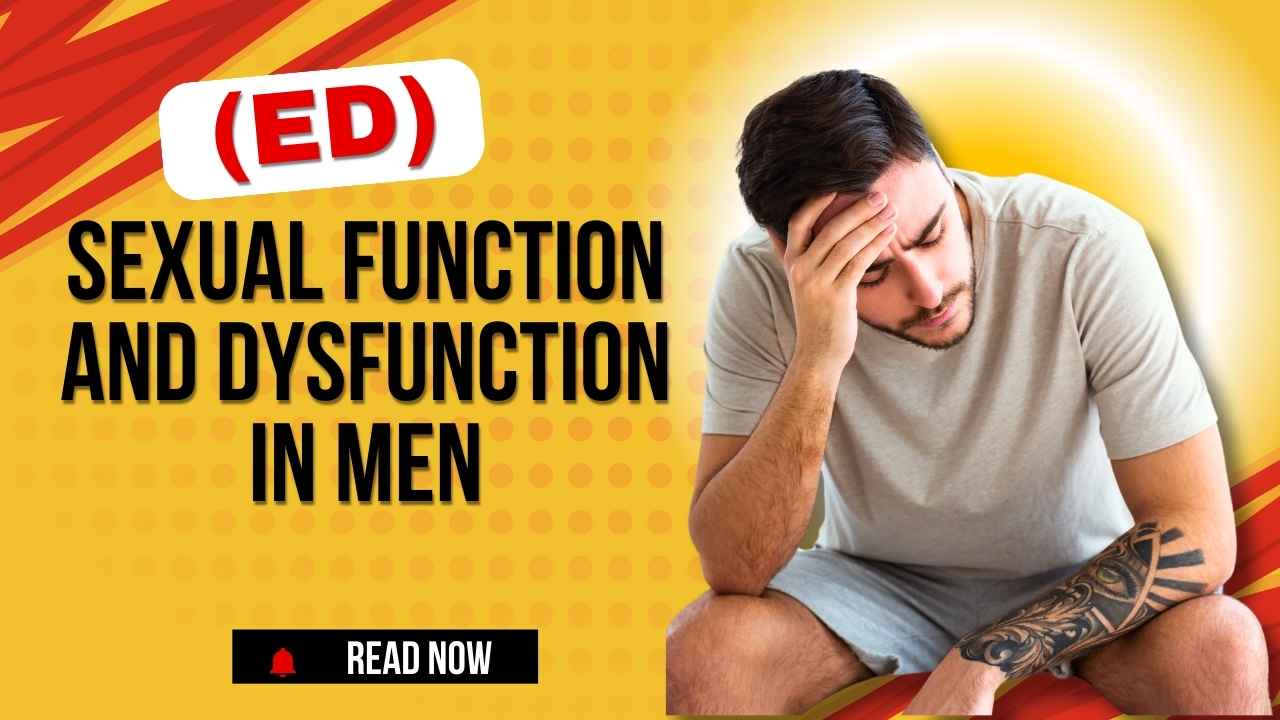 Male sexual function and dysfunction