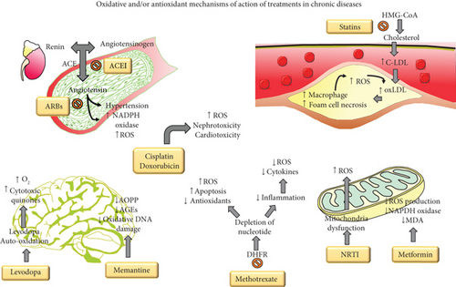 oxidative stress