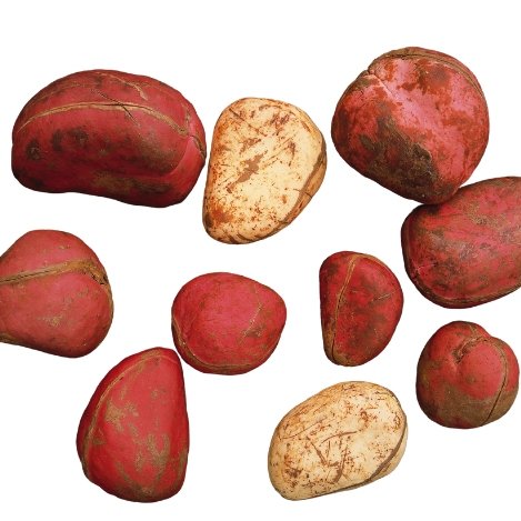 kola nut