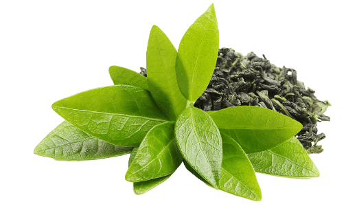 green-tea-1-1-